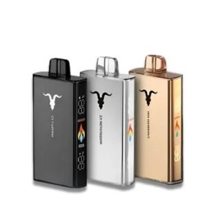 IGNITE V250 – 25000 Puffs – Pod Descartável